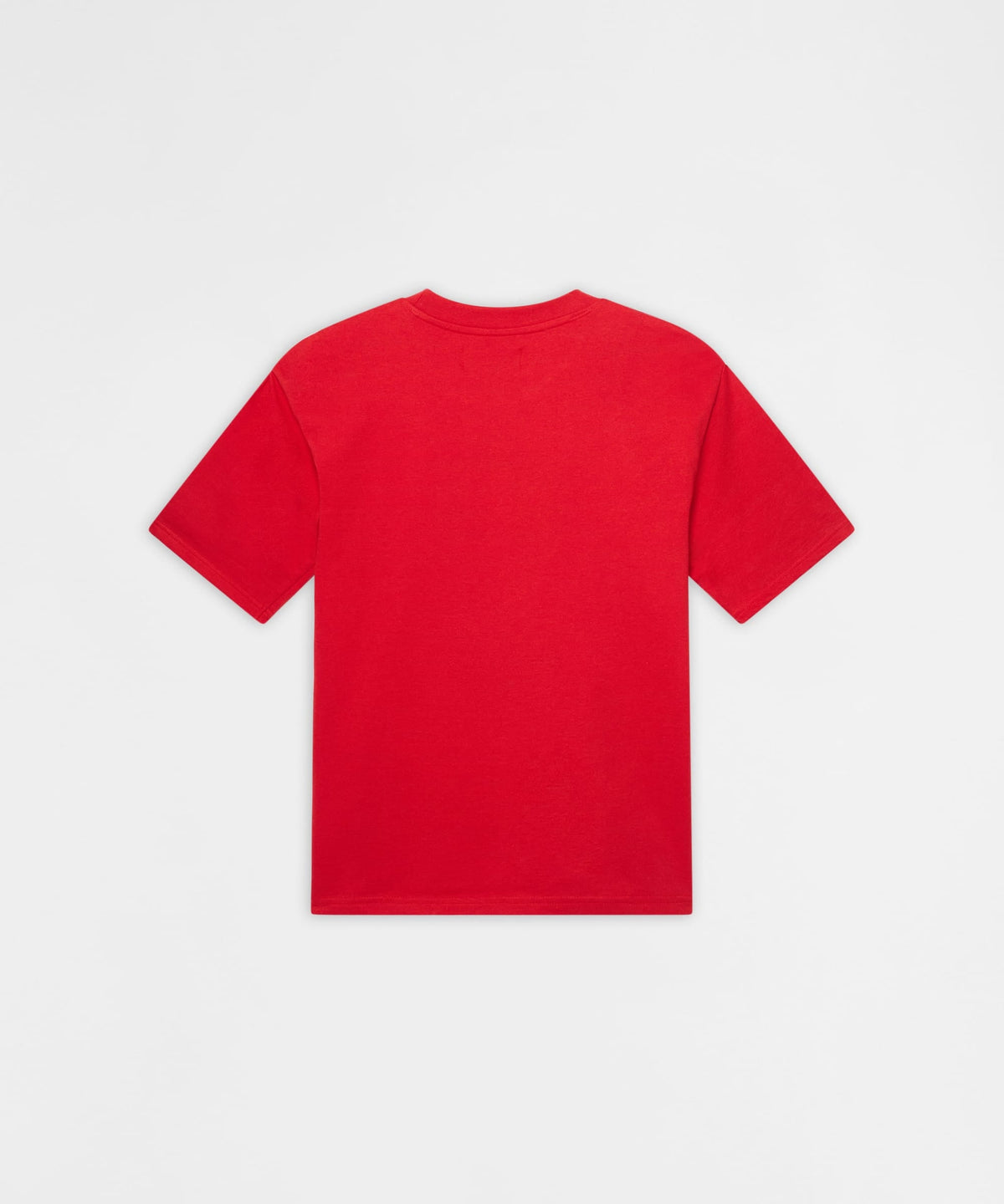 Pablo Mugshot Heavy Terry Short Sleeve Tee - Red | Reason Clothing Best Seller