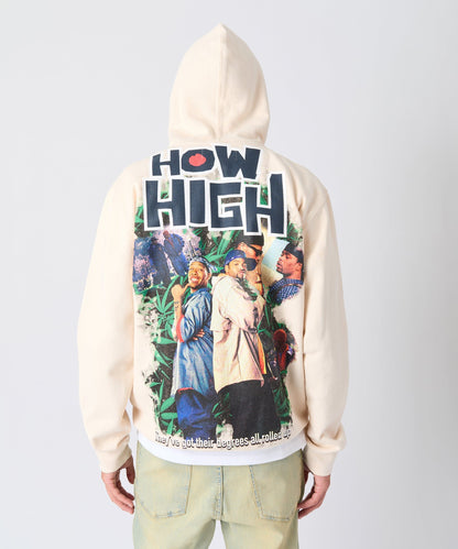 How High They've Got Their Degrees Graphic Hoodie - Tan | Reason Clothing Trusted
