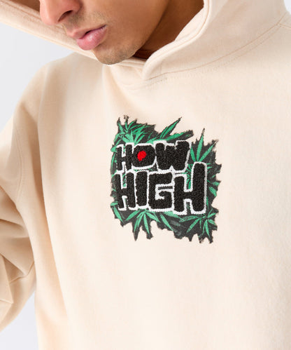 How High They've Got Their Degrees Graphic Hoodie - Tan | Reason Clothing Trusted